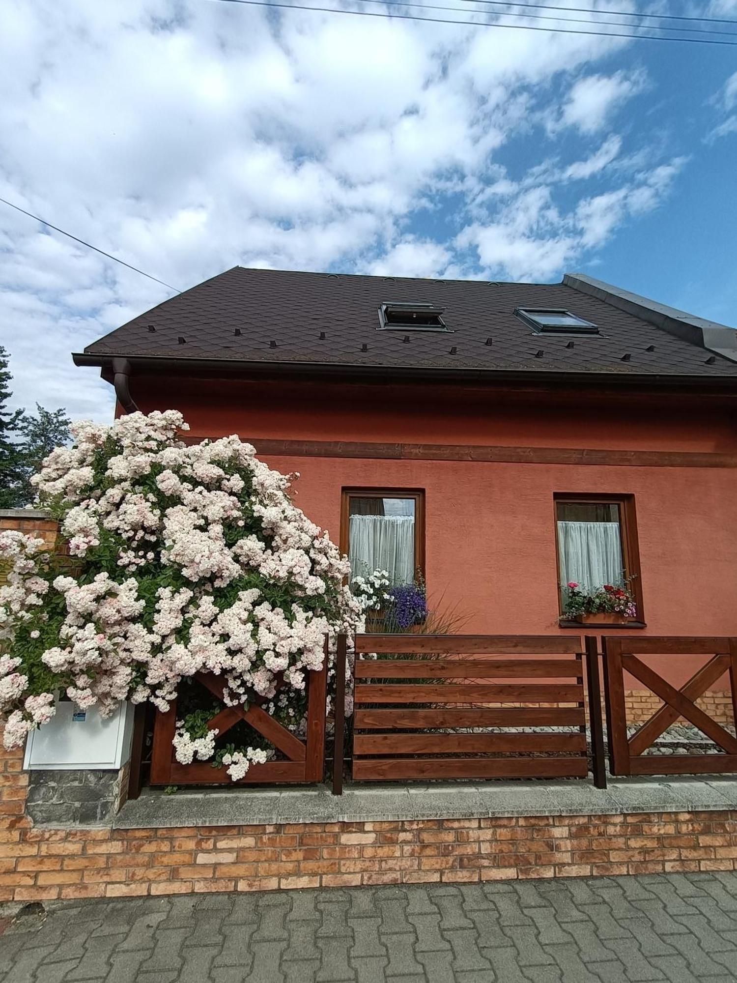 Apartman U Adamov Liptovsky Mikulas Exterior photo